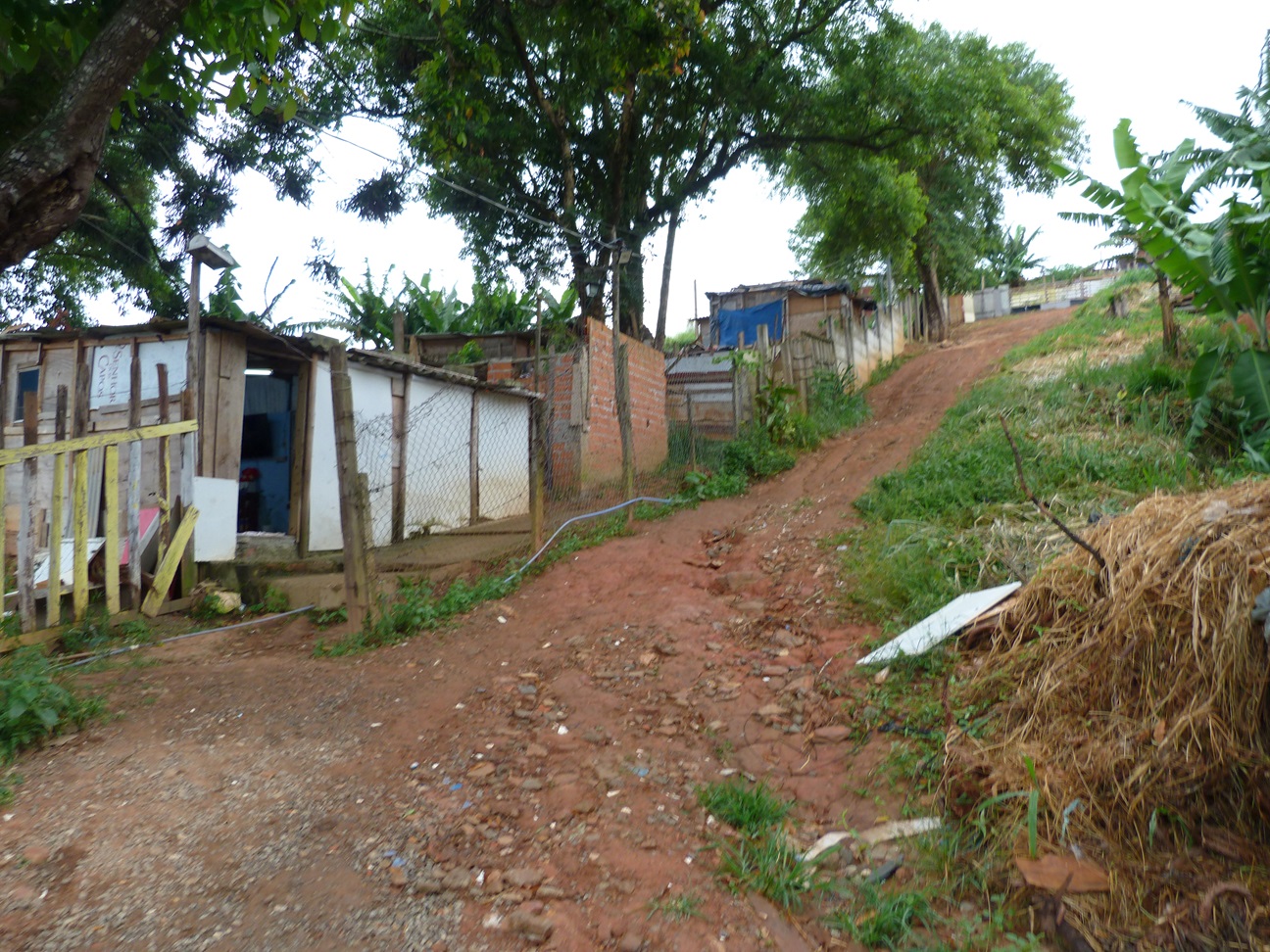 BRA-SPaulo-JD Paraiso-Nov23-102.JPG