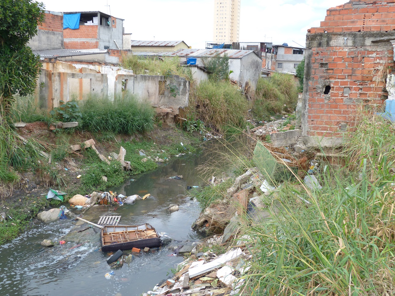 BRA-Fav Aquarela-SP-Jul2024-093-I.jpg